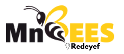 MnBees Gafsa - Redeyef